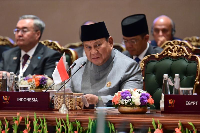 Prabowo sebut BRICS punya modal membangun abad hijau
