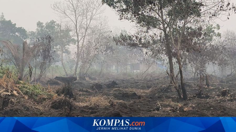 Ketika "Paru-paru Dunia" Diselimuti Asap Karhutla