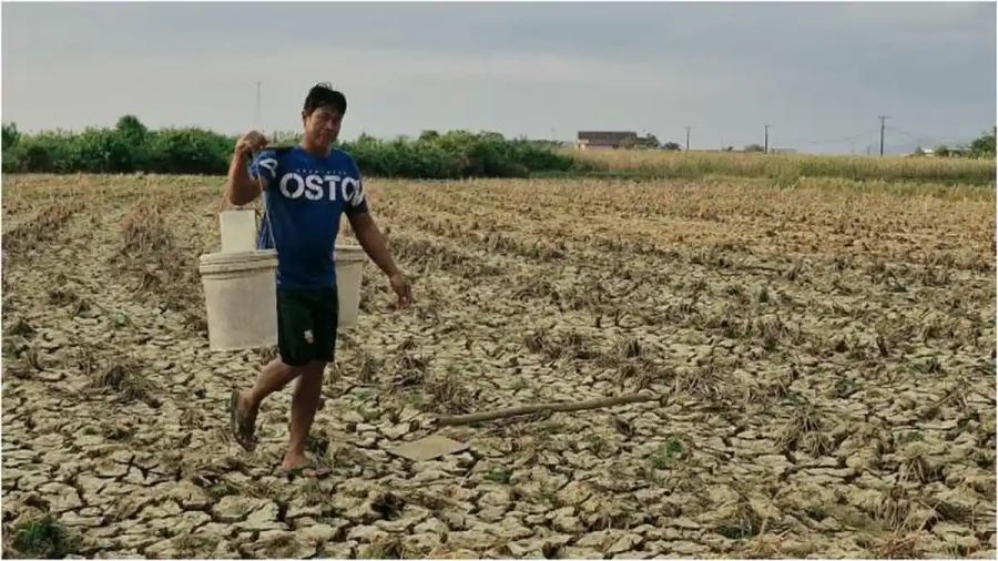 2.206 Hektare Lahan Pertanian Maros Terancam Kekeringan, Pemkab Kerahkan 30 Pompa Air