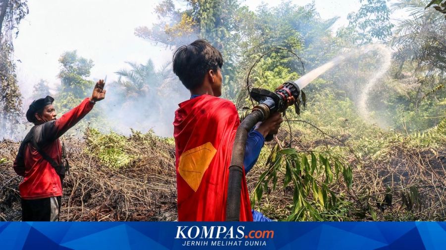 Daftar 4 Negara Kena Kabut Asap Karhutla Indonesia, Ini Deretan Dampaknya