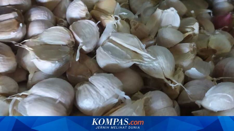 PTPN Siapkan 10.000 Hektare Lahan Budidaya Bawang Putih di Jabar, Kejar Swasembada