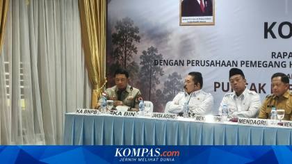 Update Karhutla, BNPB: 734 Hektar Lahan Masih Terbakar