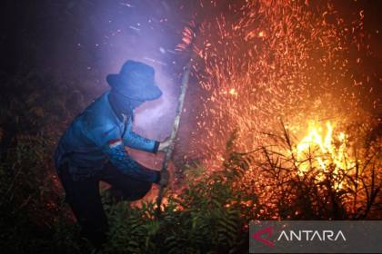 BNPB atasi karhutla di Teluk Bintuni dengan helikopter "water bombing"