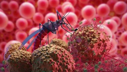 Tekan Risiko Kematian, Deteksi Dini Dengue Perlu Diperkuat