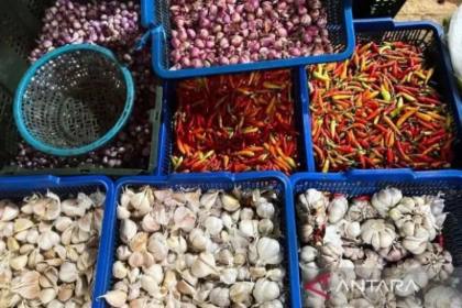 Kemendag dorong percepatan impor dan distribusi bawang putih