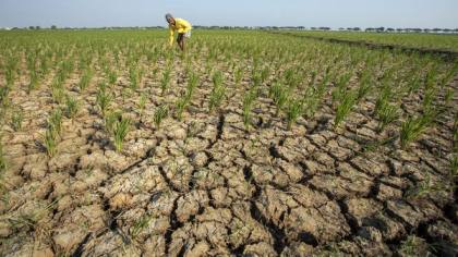 BMKG Petakan Wilayah Terancam Kekeringan Efek El Nino, Berikut Daftarnya