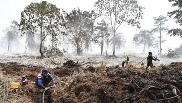 Mengapa Karhutla di Lahan Gambut Sulit Ditaklukan? Ini Penjelasan Pakar IPB