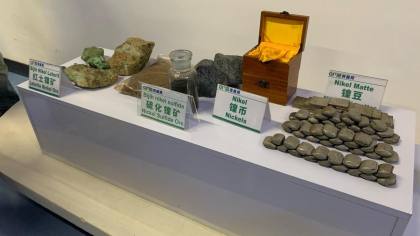 IMI Soroti Kesenjangan Potensi Cadangan Mineral dan Penerimaan Negara