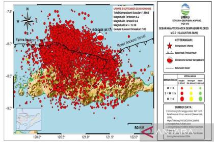 Gempa susulan magnitudo 7,7 Flores capai 13.863 kali hingga Rabu pagi