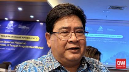 Apindo Minta Aturan UMR Tak Dipukul Rata dalam RUU Baru