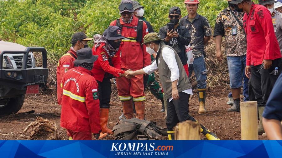 Menhut Sebut Penanganan Karhutla Riau Jadi Contoh Baik
