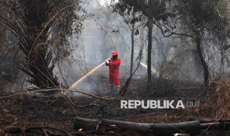 Dalam 1,5 Bulan, Lebih dari 174 Hektare Lahan Perhutani di Jateng Terdampak Karhutla