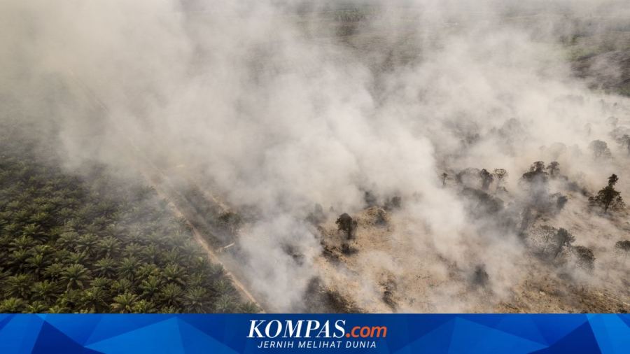 DPR Minta Penanganan Karhutla Tak Sekadar Padamkan Api, Tapi Perkuat Pencegahannya