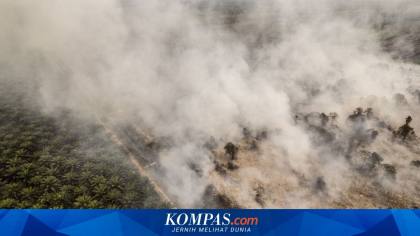 DPR Minta Penanganan Karhutla Tak Sekadar Padamkan Api, Tapi Perkuat Pencegahannya