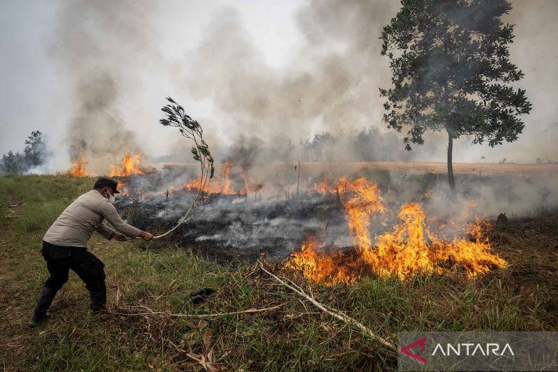 Anggota DPR: Perlindungan satwa harus jadi bagian penanganan karhutla