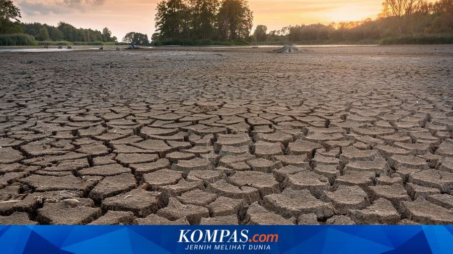 El Nino Sangat Kuat Berlangsung hingga Februari 2027, PBB: Dunia dalam Bahaya