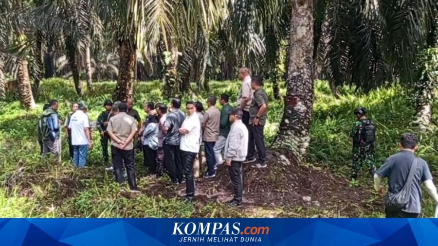 Agrinas Palma Perkuat Profesionalisme untuk Dukung Ketahanan Pangan