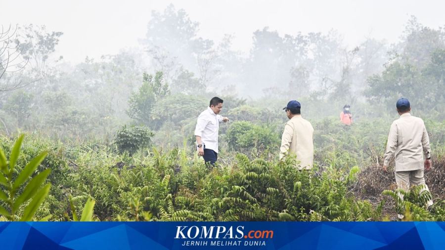 Kemenhut Siapkan Rp 5,5 Miliar untuk Tangani Karhutla Kalbar
