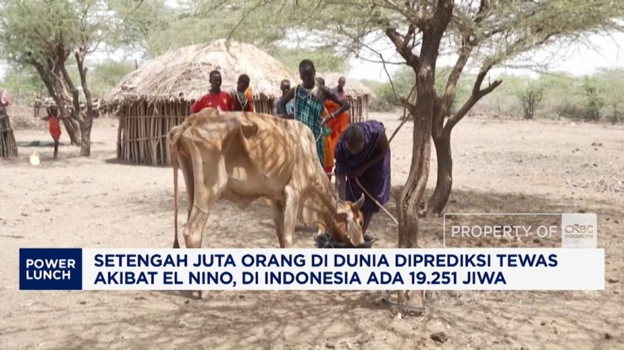 Video: Setengah Juta Orang di Dunia Diprediksi Tewas Akibat El Nino