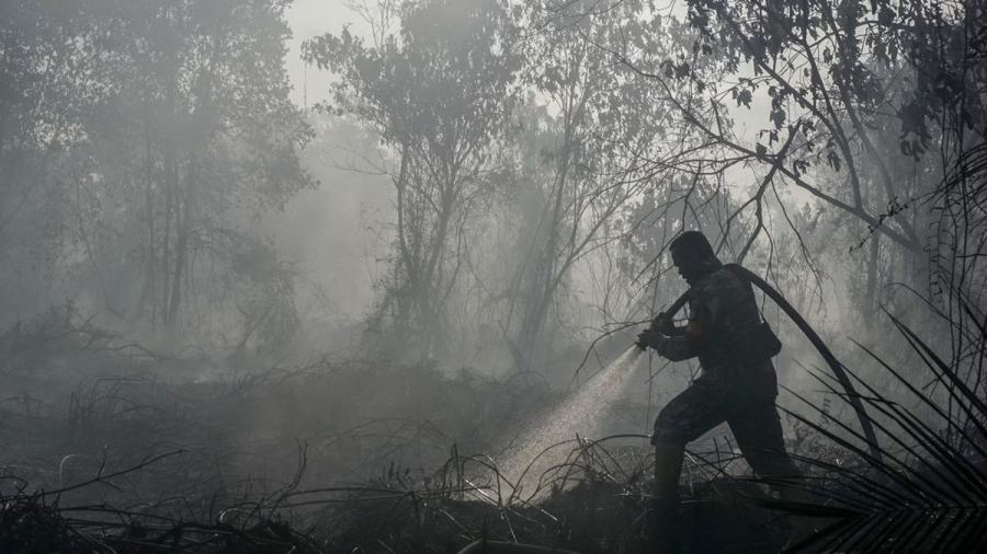 BPBD Jabar Catat 132 Karhutla pada Agustus 2026, Terbanyak Sumedang