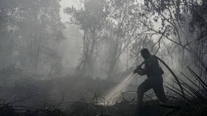 BPBD Jabar Catat 132 Karhutla pada Agustus 2026, Terbanyak Sumedang