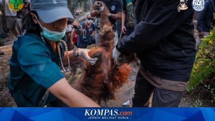 Sampurna, Mama Yuni, dan Pengungsi Ekologis