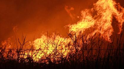 Polda Riau Tetapkan 40 Tersangka Karhutla, Motif Buka Lahan Sawit