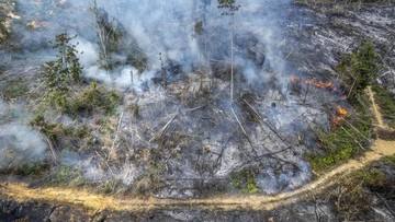 Sederet Upaya Pemerintah Tangani Karhutla: Water Bombing-Modifikasi Cuaca