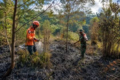 BPBD Lumajang imbau warga waspada titik api usai karhutla Ranupani