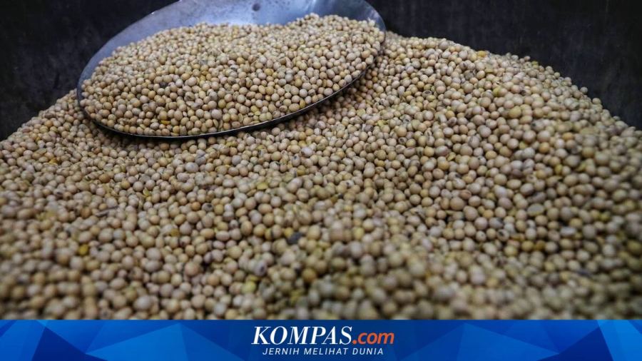 Zulhas Bongkar Penyebab RI Masih Harus Impor Kedelai