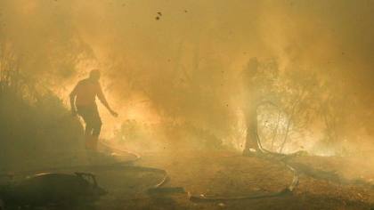 Karhutla Gunung Merapi Ungup-Ungup TWA Kawah Ijen Capai 20 Hektare