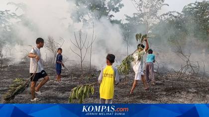 Kemenhut: 22 Kasus Karhutla Masih Diselidiki, 2 Sudah P-21