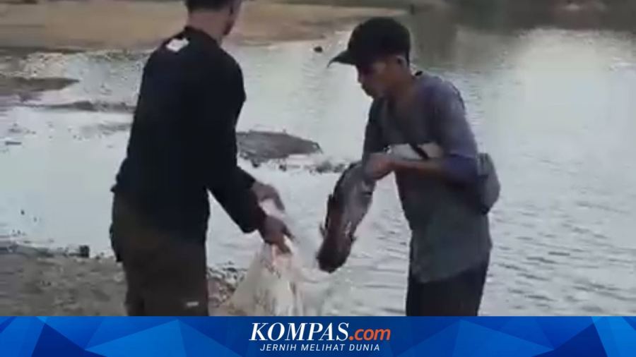 Ambil Kolam Ikan untuk Padamkan Karhutla, BNPB akan Kedepankan Komunikasi
