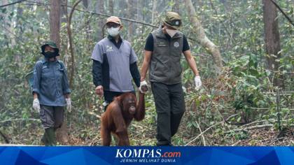 Jurus Pemerintah Selamatkan Satwa Liar dari Kepungan Karhutla