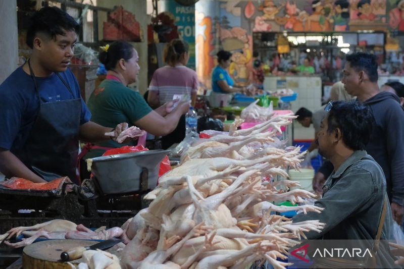 CORE: Manajemen stok antardaerah penting redam risiko inflasi pangan