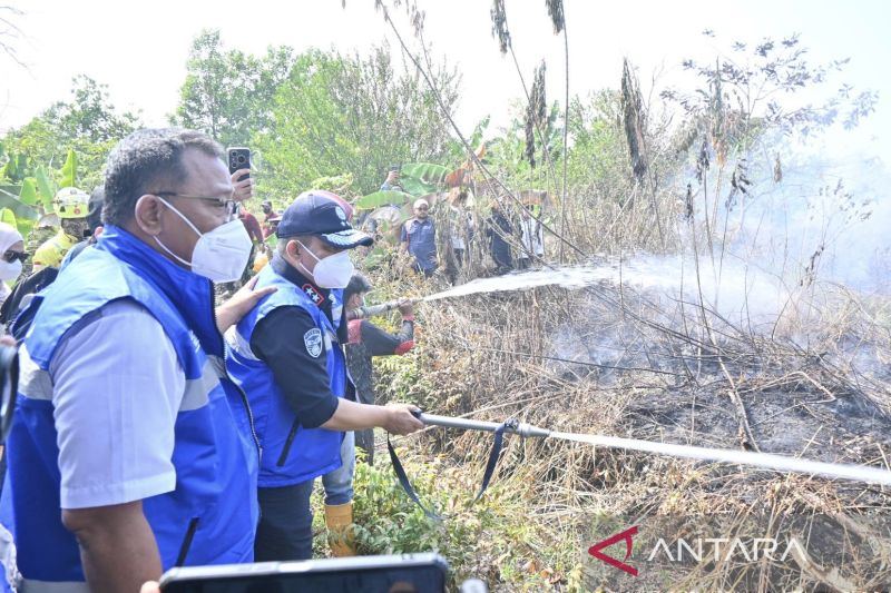 KLH selidiki 11 perusahaan terindikasi terkait karhutla di Kalsel
