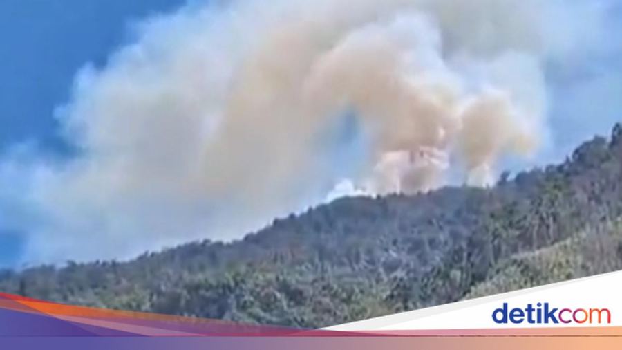 Kebakaran di Gunung Latimojong, Warga Butuh Setengah Hari Jangkau Titik Api