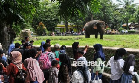 DPRD DKI Sepakat Naikkan Tarif Ragunan, Diusulkan Jadi Rp10 Ribu