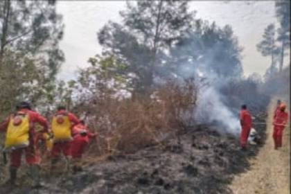 Hoaks! Pemerintah tolak berikan anggaran untuk penanganan karhutla di Kalimantan