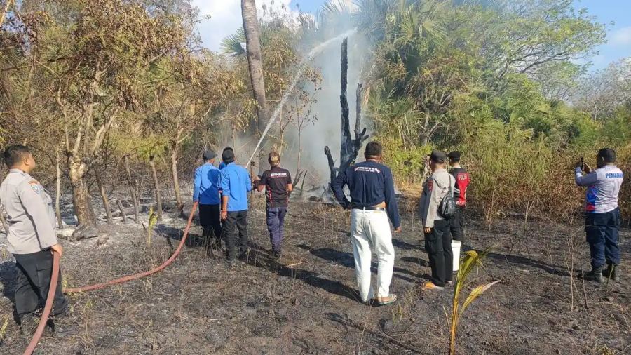 3 Titik Kebakaran Lahan di Selayar, Api Balangsembo Dekati Pemukiman Warga