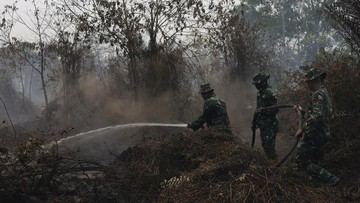 Prabowo Minta Pakai Tepung untuk Pemadaman Karhutla, BRIN Ungkap Efektivitasnya