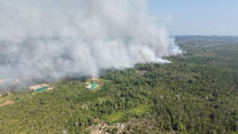 Karhutla Terjadi di Dekat Kawasan IKN, TNI AU Terjunkan Helikopter Caracal Lakukan Water Bombing