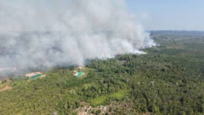 Karhutla Terjadi di Dekat Kawasan IKN, TNI AU Terjunkan Helikopter Caracal Lakukan Water Bombing