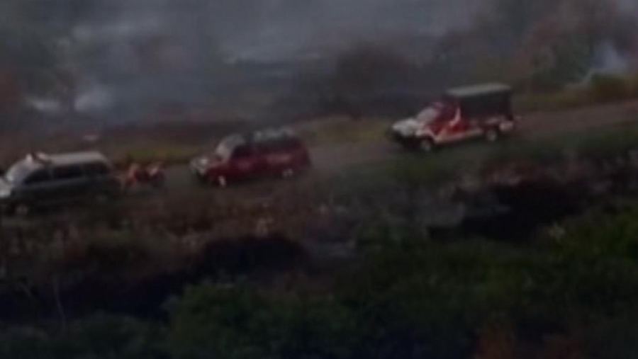 Video: Raja Juli Larang Lokasi Bekas Kebakaran Hutan Ditanami Sawit