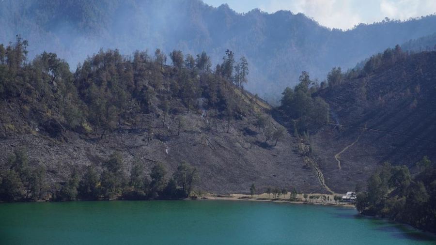 FOTO: Sisa-sisa Kebakaran di Kawasan Ranukumbolo Gunung Semeru