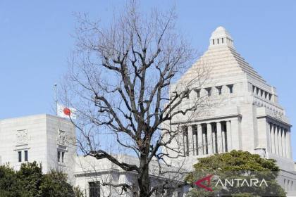 Mayoritas Jepang dukung batasan medsos bagi anak, remaja kurang setuju
