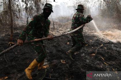 7 Penyebab kebakaran hutan yang sering terjadi di Indonesia