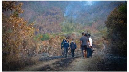 Siapa Pelakunya? Polres Luwu Sudah Periksa 2 Saksi Kebakaran Hutan dan Lahan di Tiromanda Bua