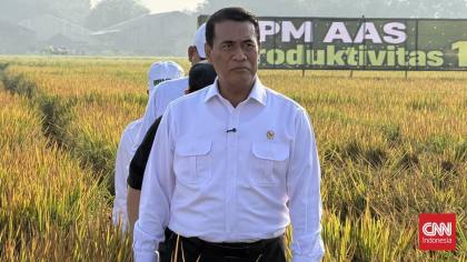 Amran Beber Biang Kerok Beras Jadi Penyumbang Inflasi