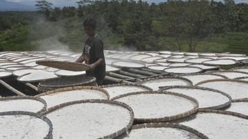 Ada Bukti Tepung Ubi Bisa Padamkan Api, Kepala BRIN: Perlu Produksi Skala Besar